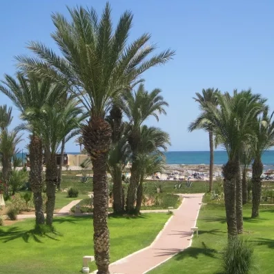 Allée piétonne traversant les jardins tropicaux menant vers la plage de sable fin de Djerba.