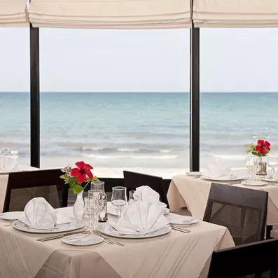 Buffet de crudités et salades composées mettant en avant des produits frais du terroir tunisien à Djerba.