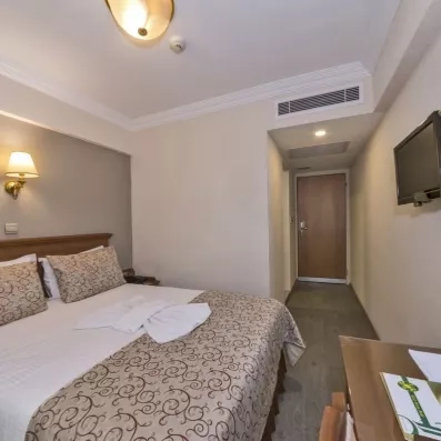 chambre avec un grand lit double et une télévision