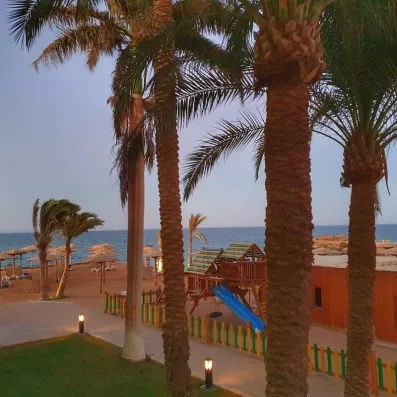 plage avec palmiers, transats, parasols, air de jeux pour enfant