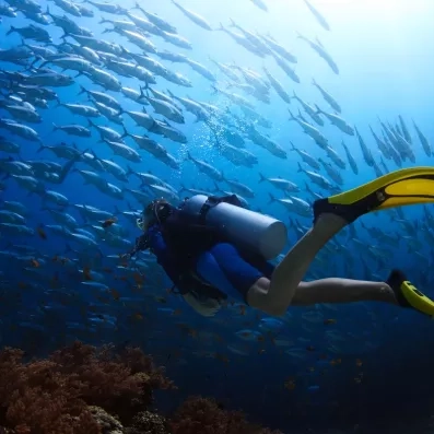 Plongeuse sous-marine explorant les fonds marins avec un banc de poissons au Mondi Club Stella Garden.