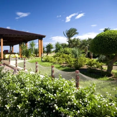 Jardins fleuris et terrasse ombragée du Sahara Beach Monastir, une oasis de détente sous le soleil.