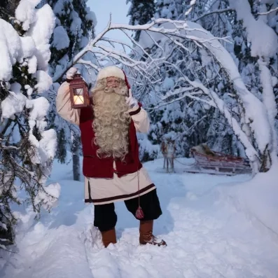 Aurore boréale verte spectaculaire illuminant le ciel nocturne au-dessus de la forêt boréale en Laponie.