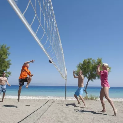 groupe jouant au beach volley sur la plage, végétation