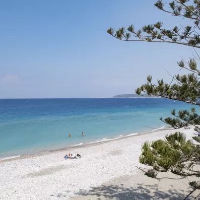 plage montagne ciel bleu, branches d'arbres 