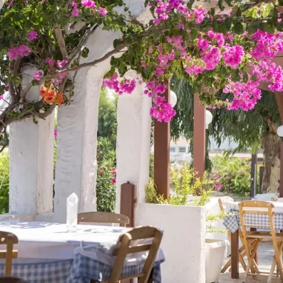 la terrasse du restaurant avec bougainvilliers roses et des tables et des chaises