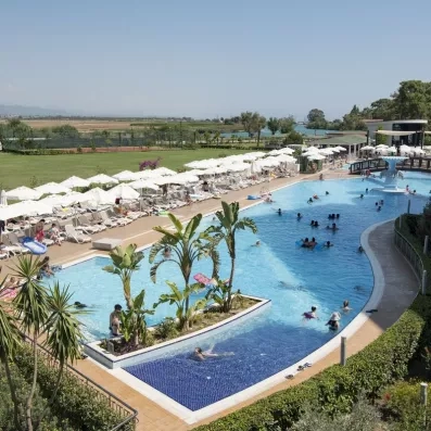 piscine avec vue sur le jardin et des palmiers