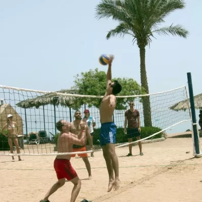 personnes jouant au beach volley sur sable fin, palmiers