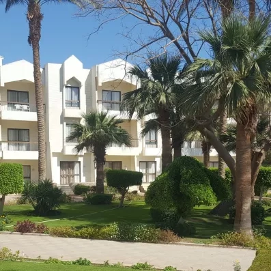 bâtiment de l'hôtel avec les terrasses des chambres donnants sur le jardin et les palmiers