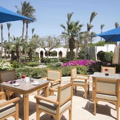 terrasse restaurant extérieur avec tables et chaises, jardin palmiers