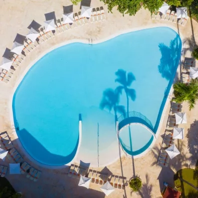 Une vue aérienne montrant une piscine entourée de chaises longues et de grands palmiers.
