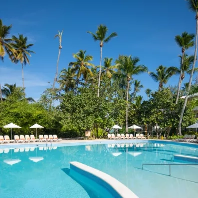 Un grand bassin aux eaux cristallines bordé de nombreux palmiers.