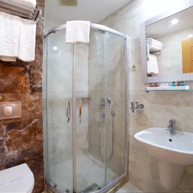 salle de bain avec douche et toilette et lavabo