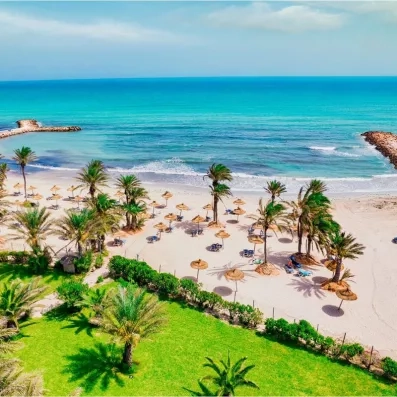 Paysage paradisiaque de la plage privée du Palm Azur bordée de palmiers et d'une mer turquoise cristalline.