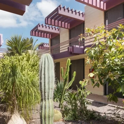 Un gros plan sur des cactus et une végétation aride devant des balcons dotés de stores rayés rouges et blancs.