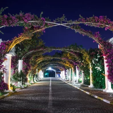 entrée extérieure de l'hôtel avec arche de fleurs