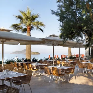 restaurant extérieur avec des palmiers autour et couvert par des parasols
