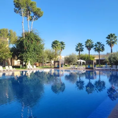 vue de la piscine en premier plan avec des palmiers et un ciel bleu au fond