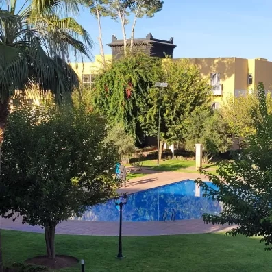 piscine de l'hôtel entourée du jardin avec des arbres, au fond un ciel bleu et du soleil