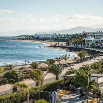Une vue panoramique sur une côte rocheuse avec des palmiers le long de la plage.