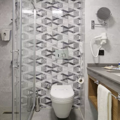 salle de bain avec douche et toilette