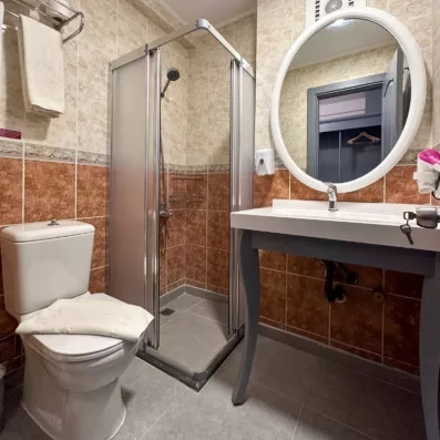 salle de bain avec douche et toilette