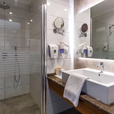 salle de bain avec douche et toilette