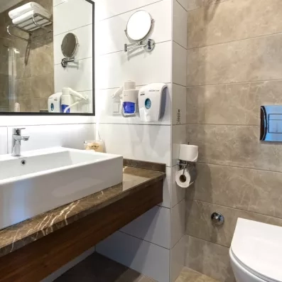 salle de bain avec douche et toilette