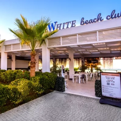 bar extérieur avec palmiers