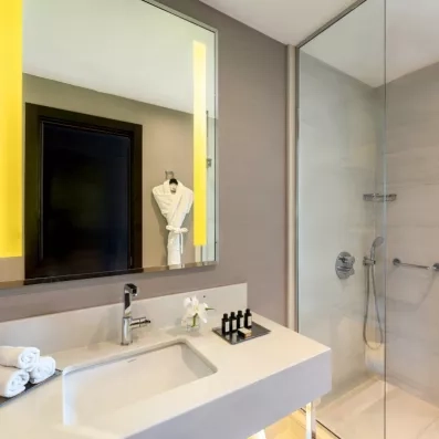 salle de bain avec douche, miroir et lavabo