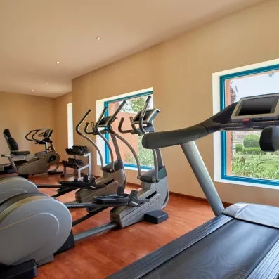 Salle de fitness moderne avec vue sur les jardins, bien-être au Premier Le Rêve Spa.