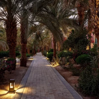 Allée illuminée dans les jardins tropicaux luxuriants de l'hôtel de luxe à Hurghada, Égypte.