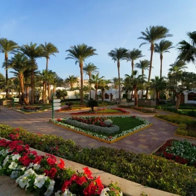 Le Jardin extérieur de l'hôtel avec des fleurs rouges et blanches, palmiers