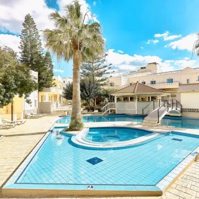 piscine extérieur avec un pont au milieu, des végétations et un ciel bleu
