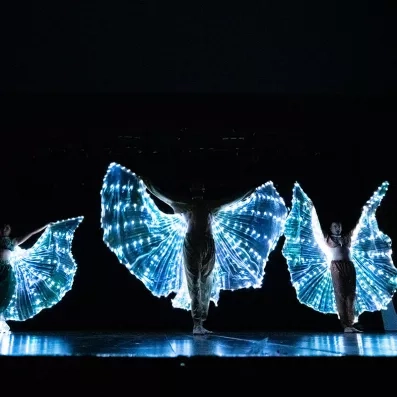 un spectacle d'animation le soir avec des ailes lumineuses sur le dos des animateurs 
