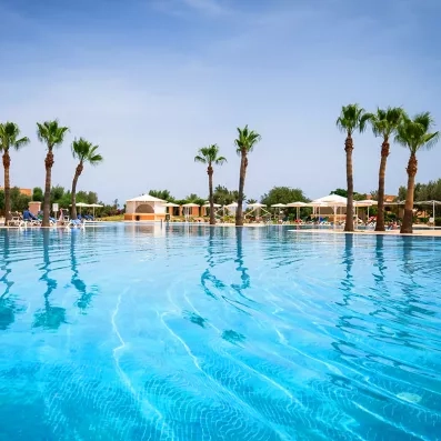 Vue sur la piscine avec palmier, avec un jardin au fond et un ciel bleu