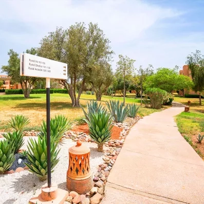 allée du jardin de l'hôtel avec des arbres sur les côté, chemin vers les chambres