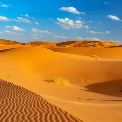 les dunes du désert, Sahara marocain avec quelques végétation et un ciel bleu 
