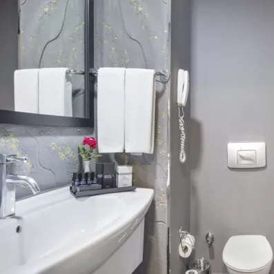 salle de bain avec douche et toilette