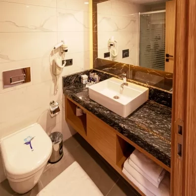 salle de bain avec toilette