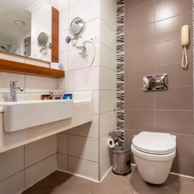 salle de bain avec douche et toilette