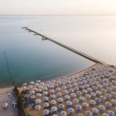 vue d'ensemble parasols, transats, au bord de la plage avec sable fin