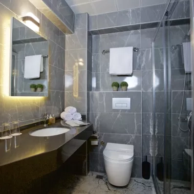 salle de bain avec douche, lavabo et toilette
