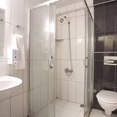 salle de bain avec douche, lavabo et toilette