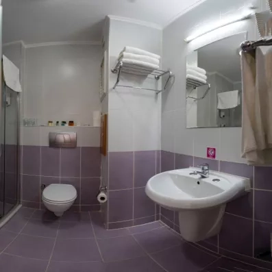 salle de bain avec douche et toilette