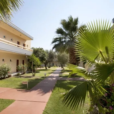 allée extérieure avec palmiers et végétation à côté du bâtiment