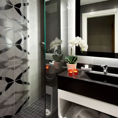 salle de bain avec douche et lavabo