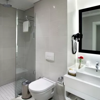 salle de bain avec douche et toilette