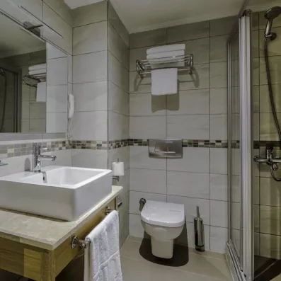 salle de bain avec douche et toilette