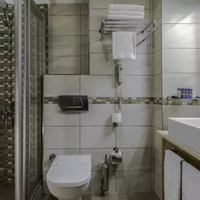 salle de bain avec toilette